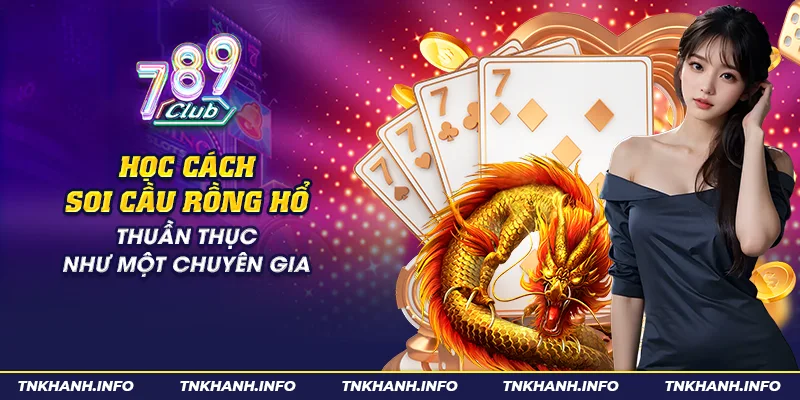 Học cách soi cầu Rồng Hổ thuần thục như một chuyên gia